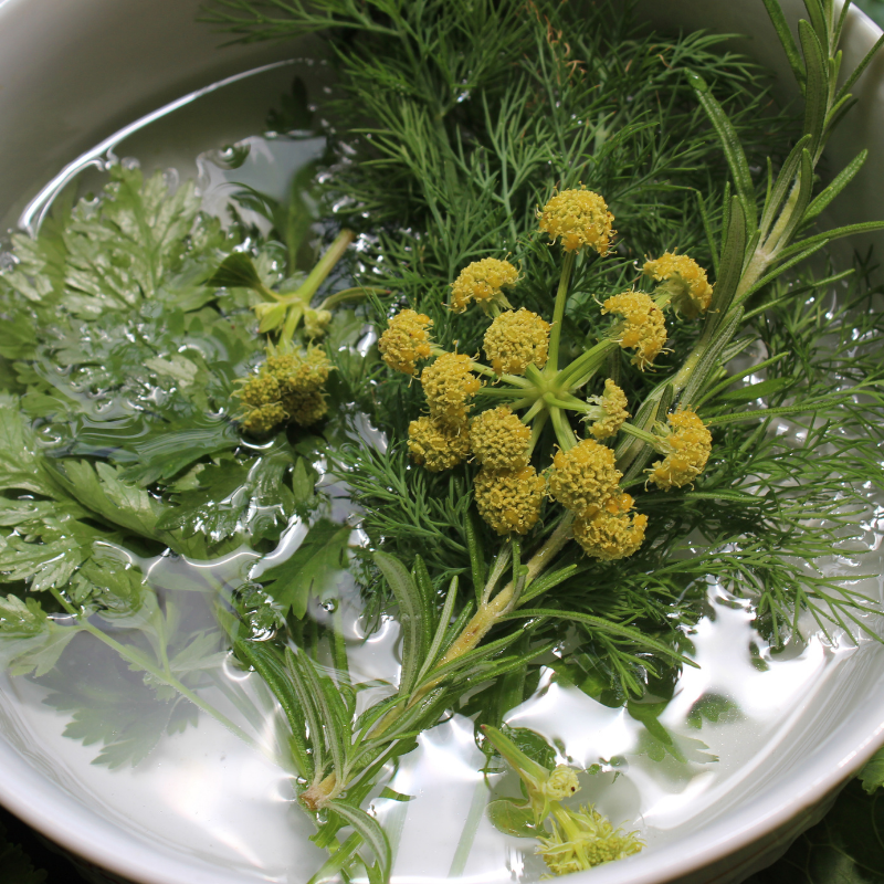Baths, Washes, & Cleansers |  Water Magick 101
