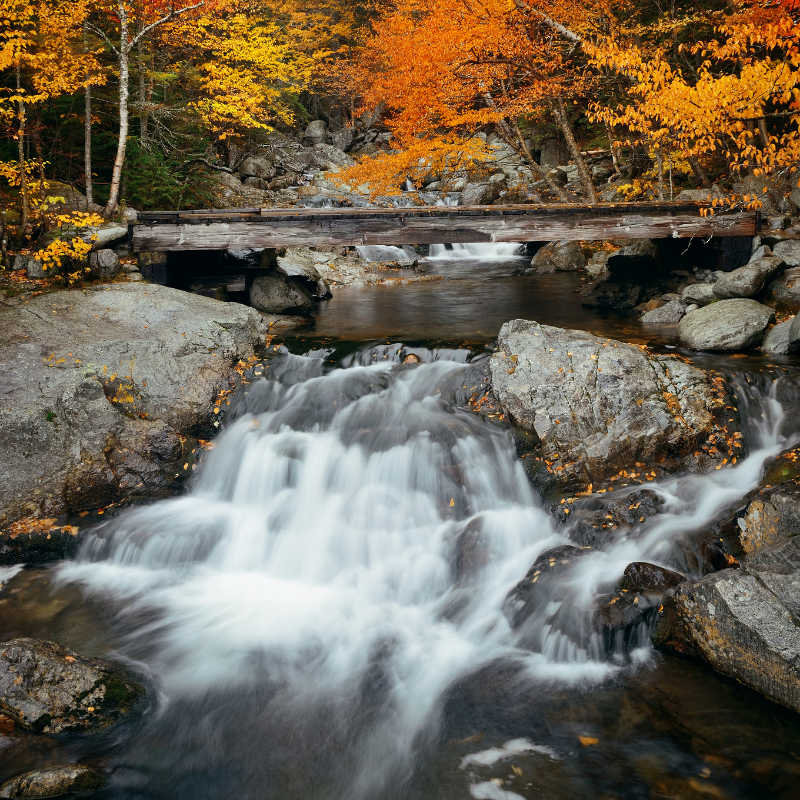 Autumn: Reflecting With Water