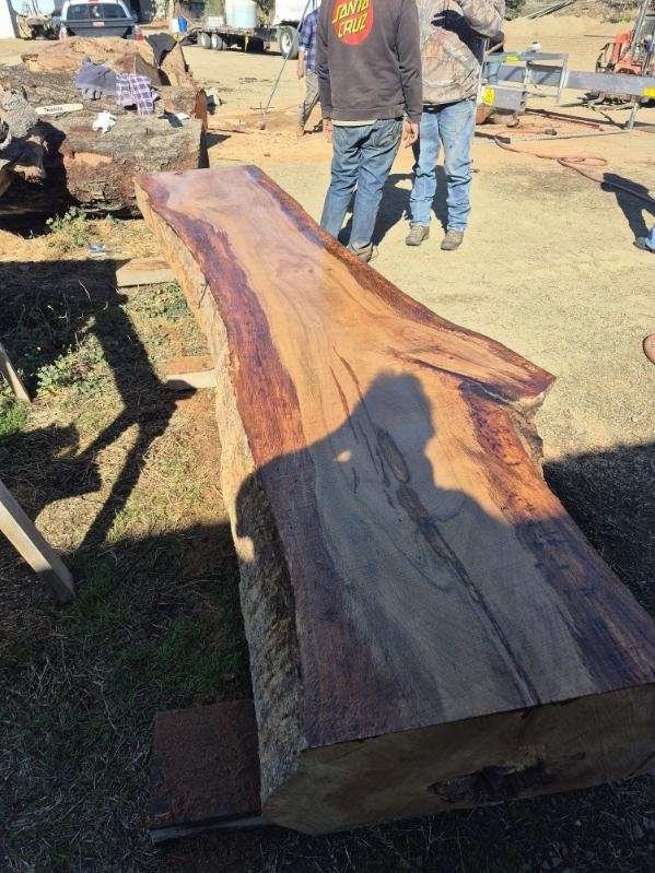 image000006 (2).jpeg