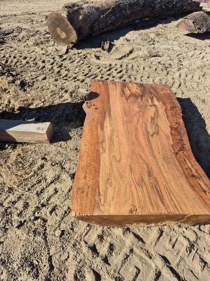 image000009 (3).jpeg