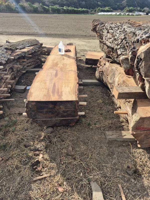 image000009 (1).jpeg