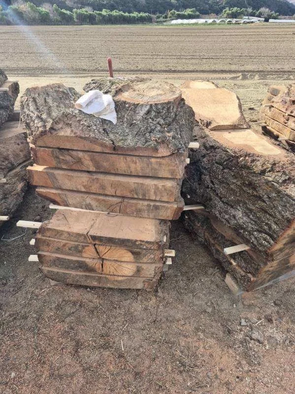 image000000 (1).jpeg