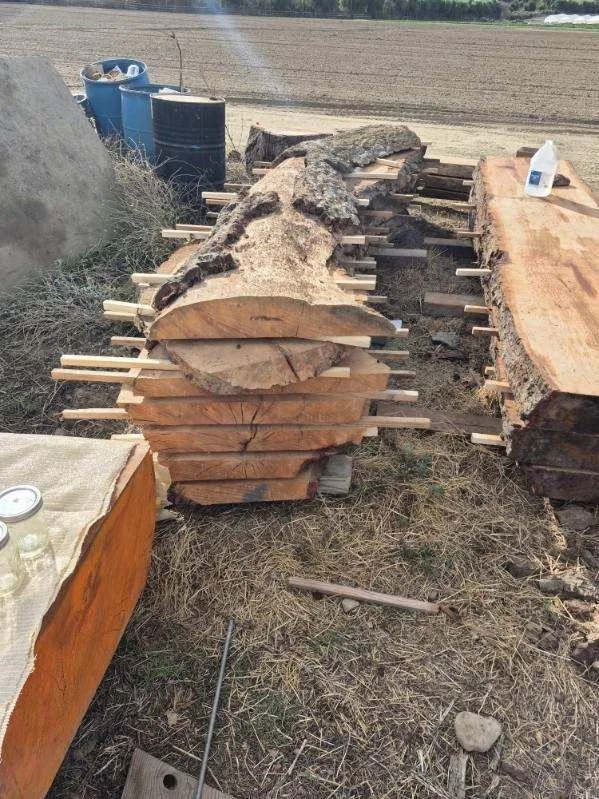 image000006 (1).jpeg