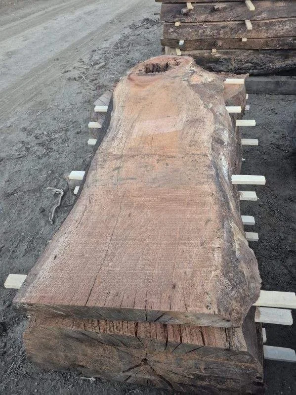 image000004 (1).jpeg