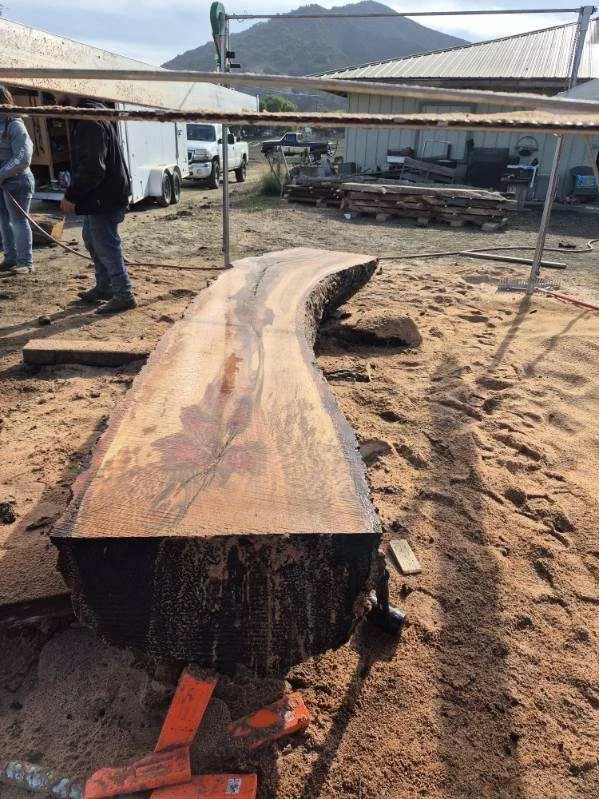 image000003 (1).jpeg