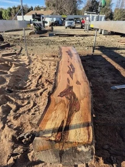 image000005 (1).jpeg