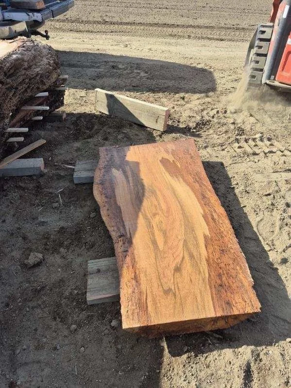 image000002 (1).jpeg