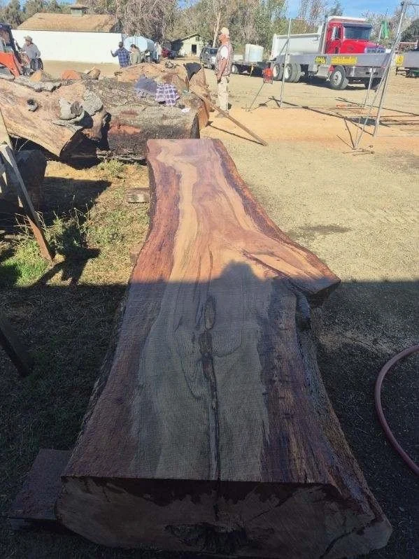 image000008 (1).jpeg