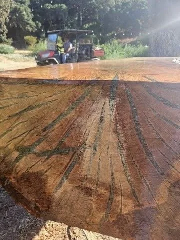 image000009 (2).jpeg