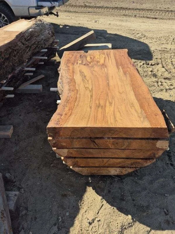 image000000 (2).jpeg