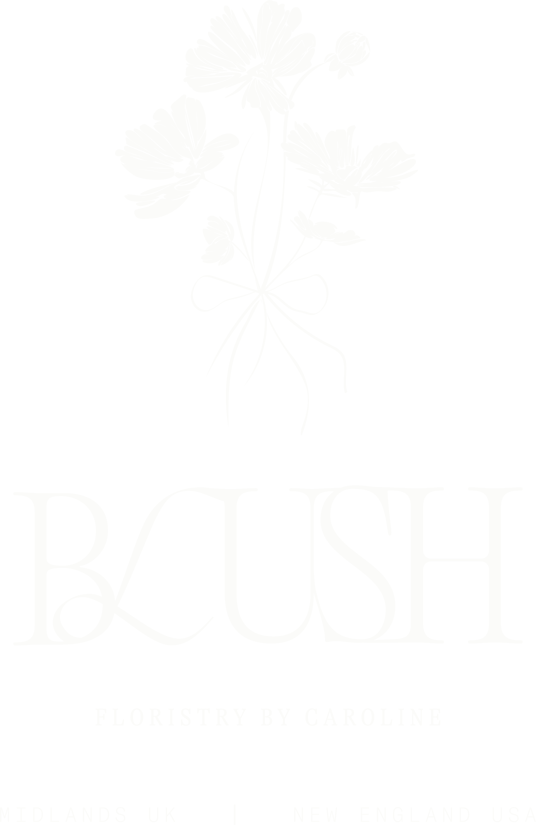 Logo for Blush Floristry by Caroline. A business providing wedding and events floristry, especially in the Midlands UK and New England USA.