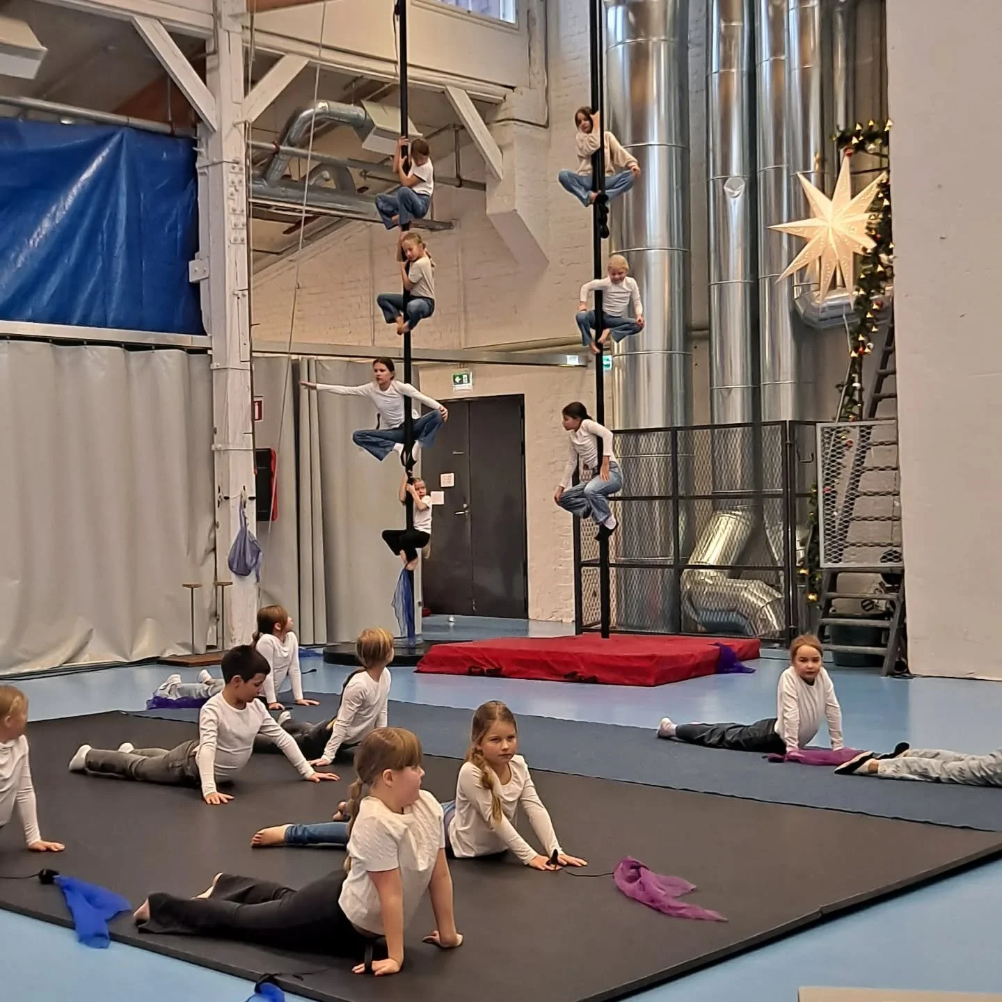 Uusi vuosi, uusi harrastus? 

Hakasirkuksessa alkaa uusi alkeisryhm&auml; 2017-2019 syntyneille: Zirkonit. Ryhm&auml; treenaa torstaisin klo 18-19 Villatehtaan Takomolla, tervetuloa mukaan! My&ouml;s muutamassa jatkavassa ryhm&auml;ss&auml; on tilaa 