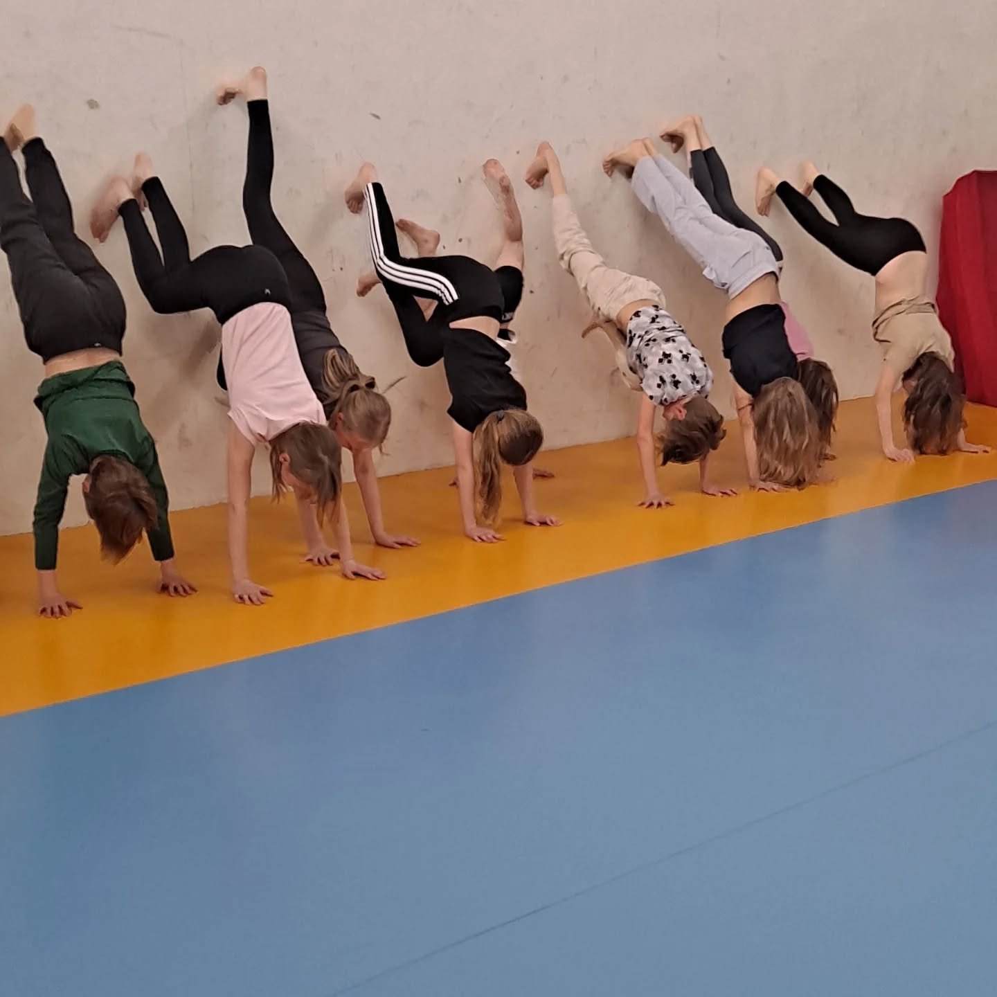 T&auml;m&auml;n kev&auml;&auml;n koulujen sirkustunnit on nyt pidetty! 

20 eri luokkaa/ryhm&auml;&auml; p&auml;&auml;si temppuilemaan sirkusv&auml;lineill&auml; koulup&auml;ivien aikana. Ohjaajina Hakasirkukselta olivat Rae, Mirja ja Iida sek&auml; 