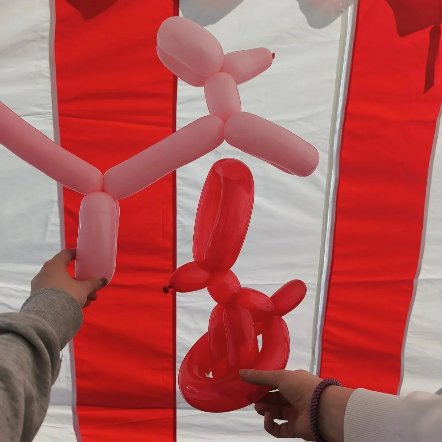 Iina ja Matilda olivat t&auml;m&auml;n viikon tetiss&auml; Hakasirkuksella. Tyt&ouml;t kertovat:

"Olimme viikon tetiss&auml; hakasirkuksella. Viikko oli monipuolinen ja hauska.🎪 P&auml;&auml;stiin ohjaamaan sirkustunteja alakoulu ik&auml;isill