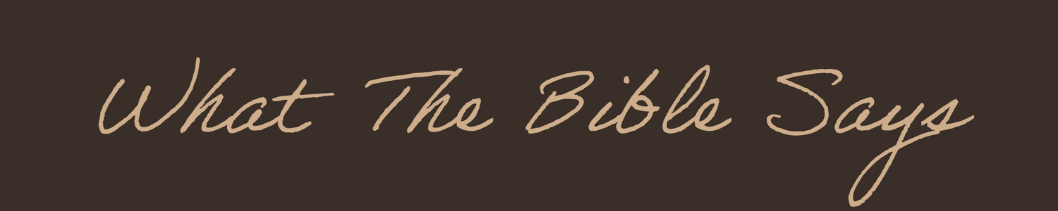 What The Bible Says