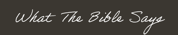 What The Bible Says