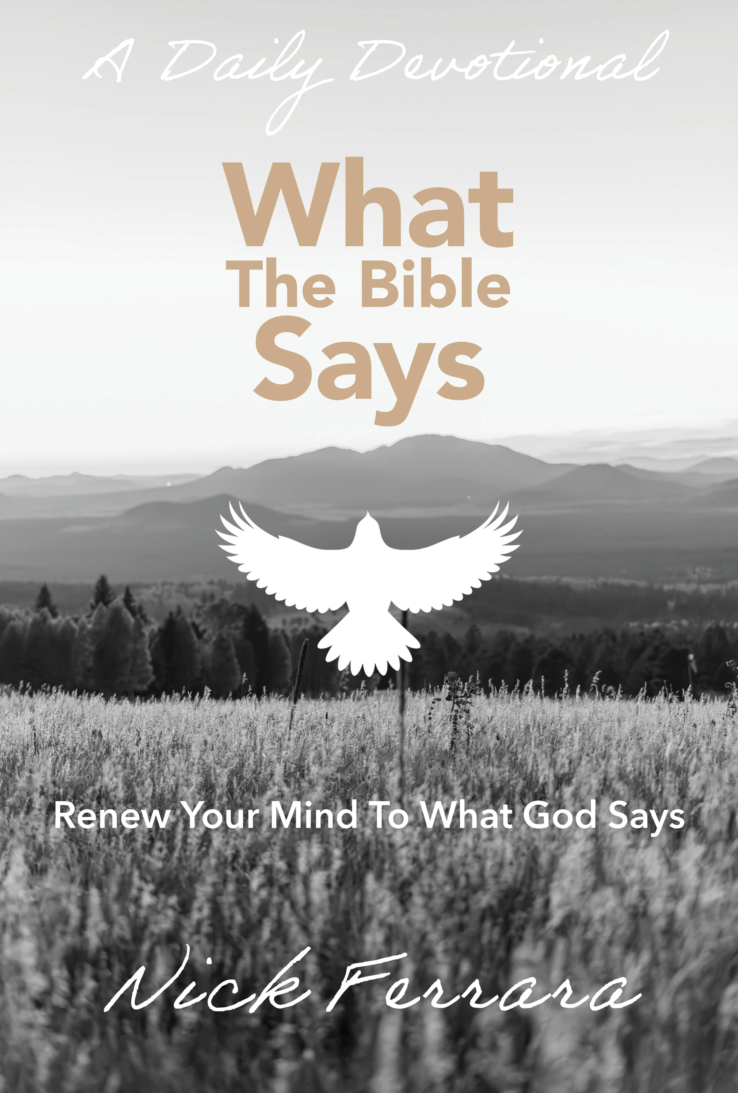 Website Images copy.jpg