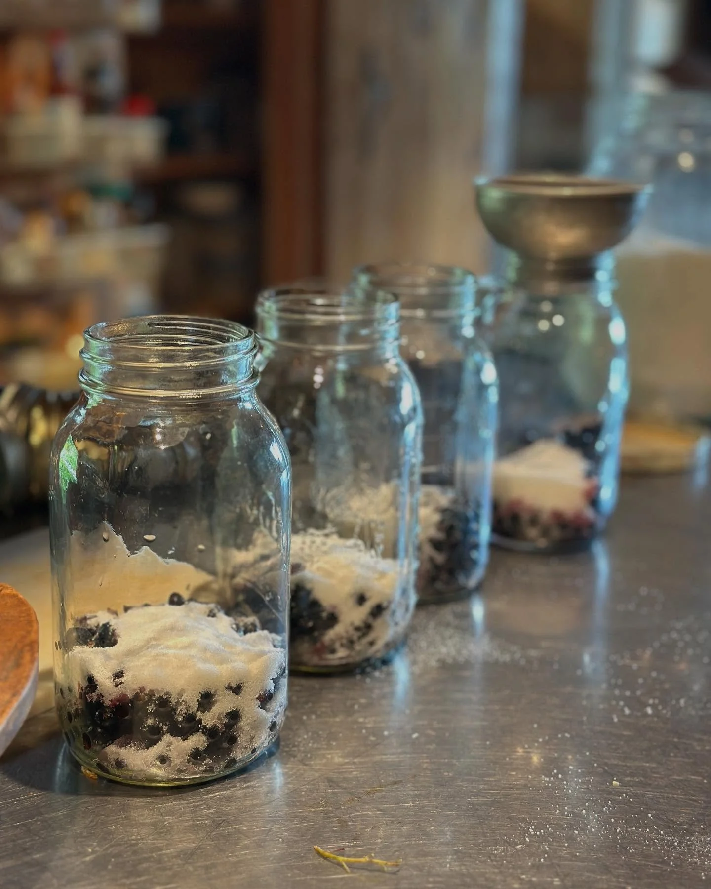 This past week Brian tried his hand at canning up black currant juice. He basically followed Wengers grape juice recipe- so we&rsquo;ll see how this goes. 
So, why black currant juice? Well, Brian loves ultra running and for recovery he frequently dr