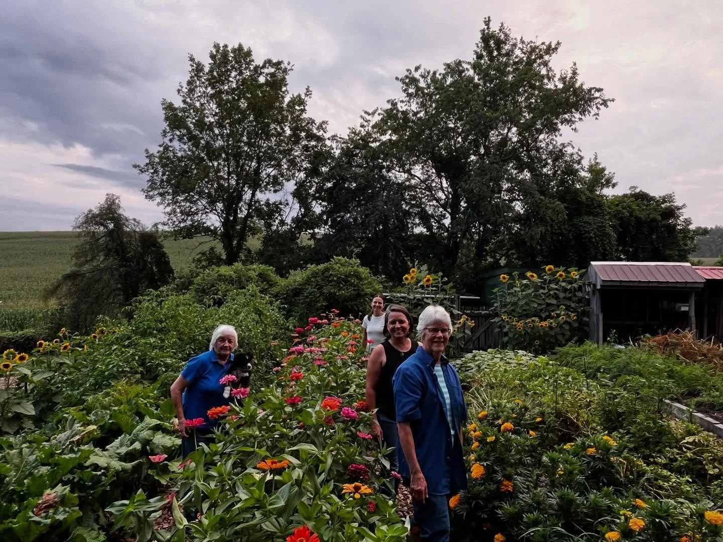 Family time and summer days spent among the flowers 🌺 

#familyfarm #zinnias #wildflowers #cutflowers #blueskyday