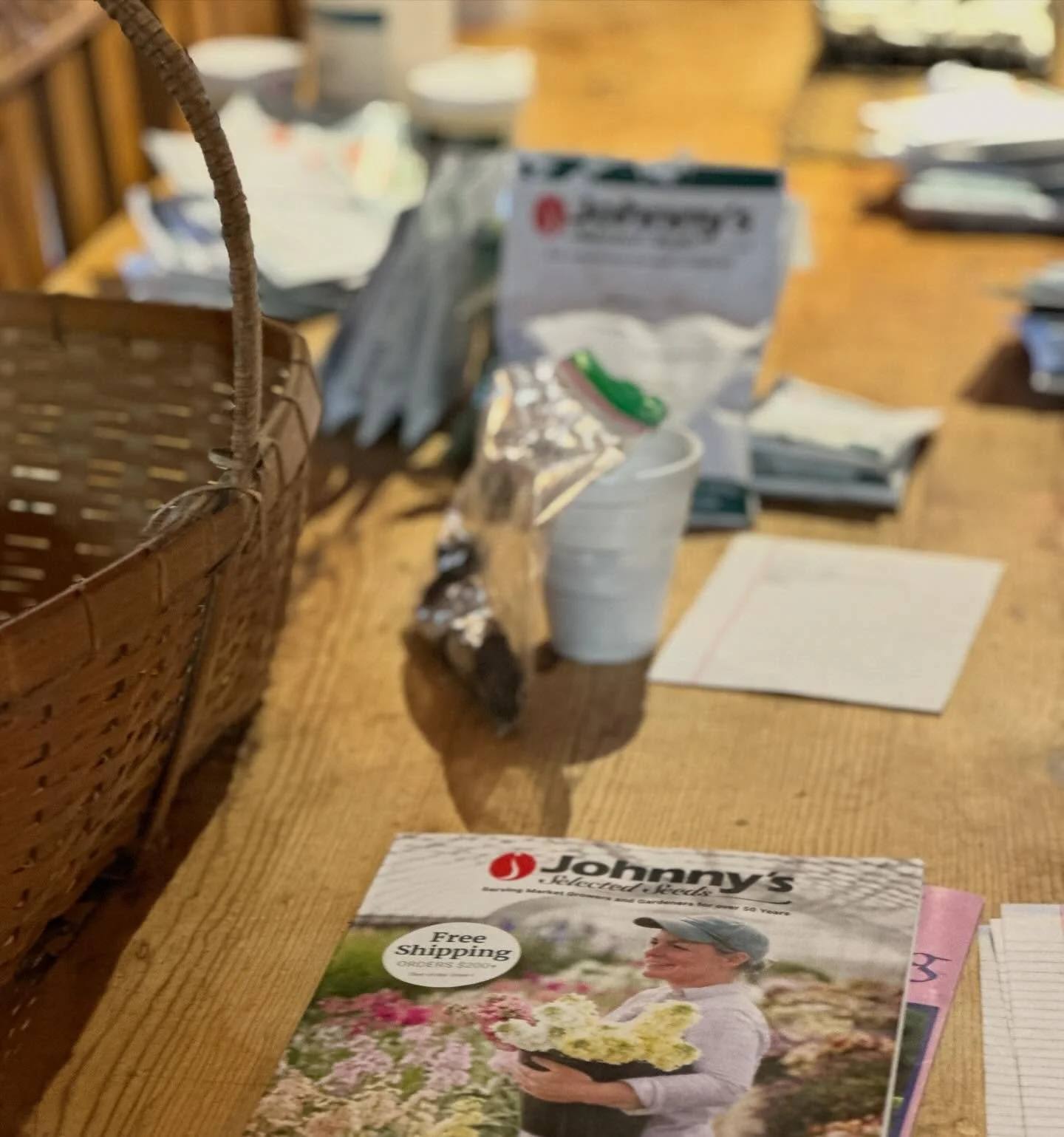 There might still be ice and snow on the ground but today was a day for dreaming and planning for spring and summer plantings - veggies, perennials, fruiting trees and bushes - we reviewed last year, counted seeds in stock and started our seed list f