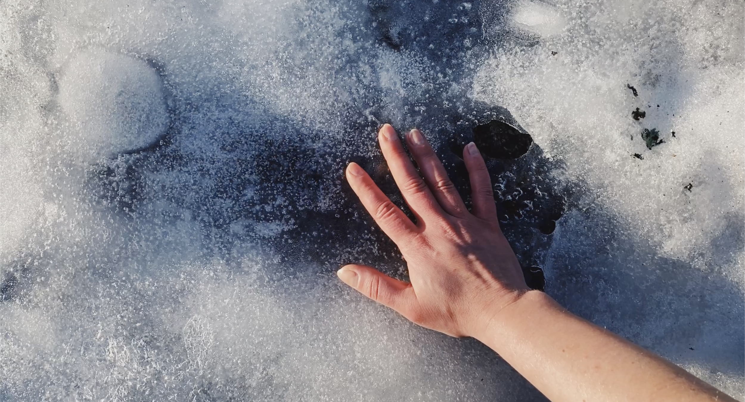 Screenshot 2026-02-22 at 11.24.40.png