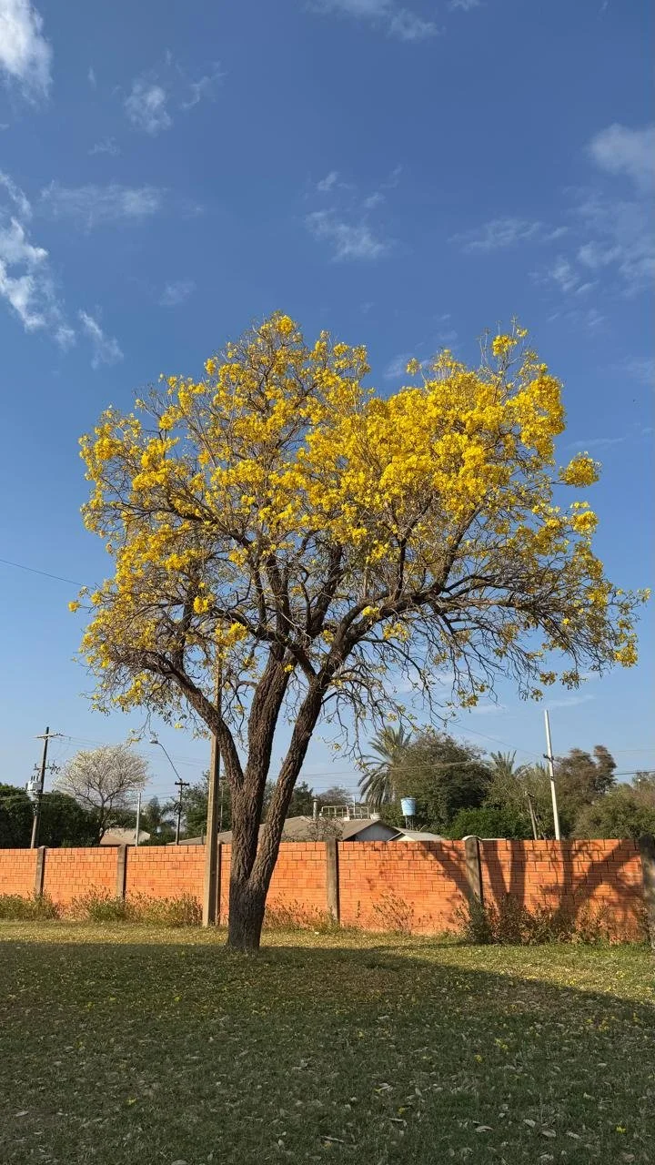 16 - Fotogalerie.jpeg