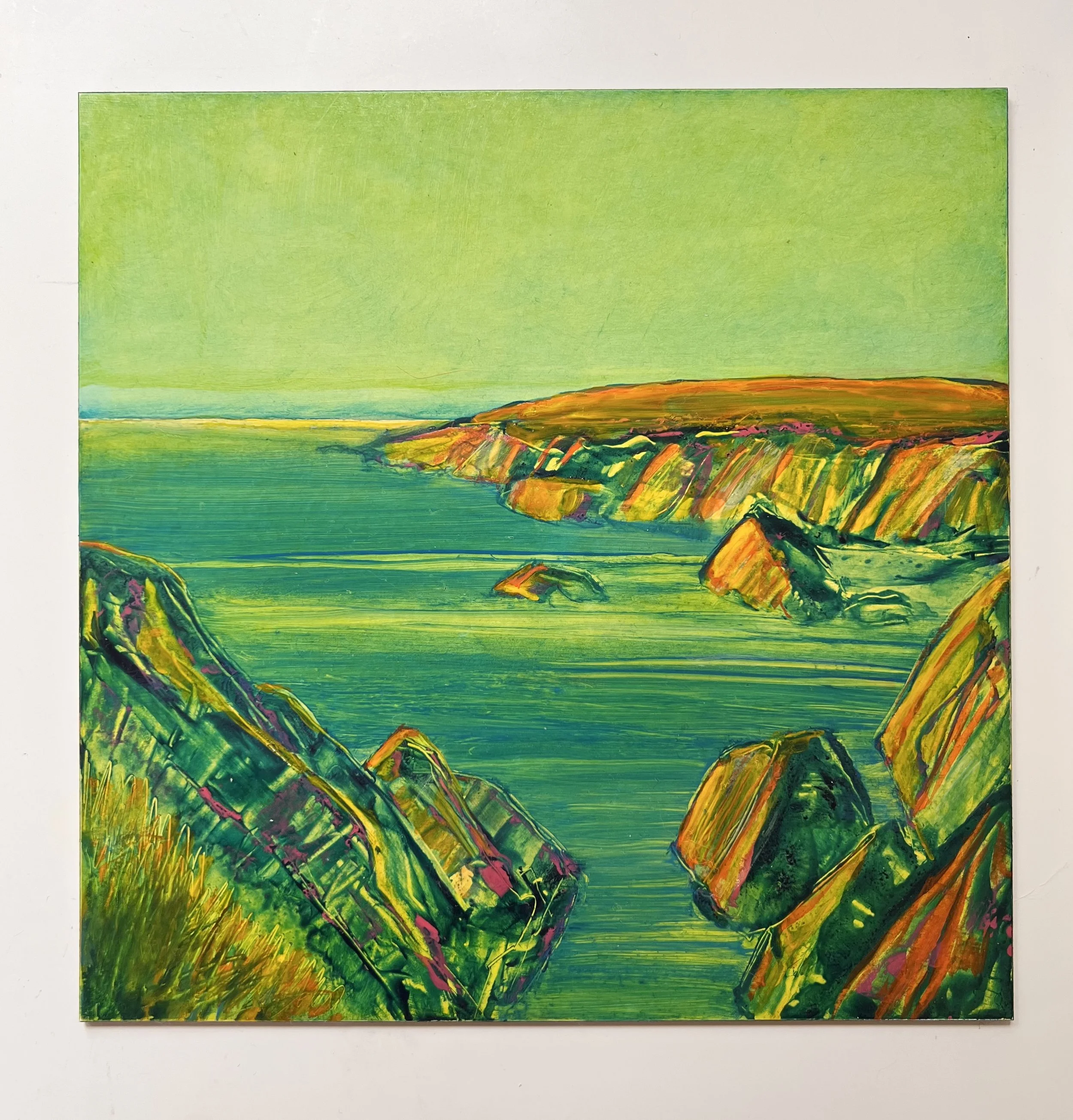 On the Path to Whitesands, Pembrokeshire
