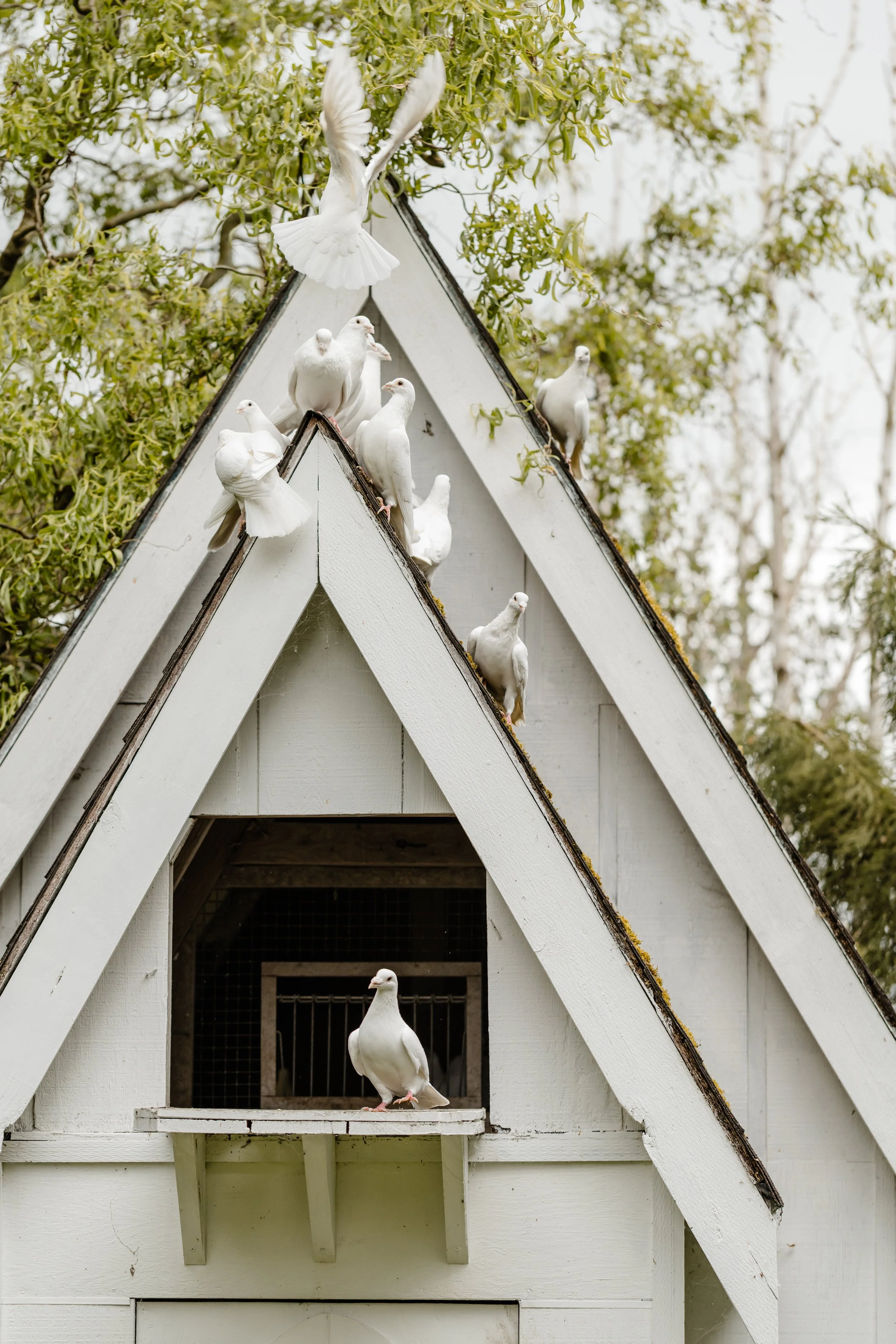 Neah & Shawn Wedding tminspired Photography-563.jpg