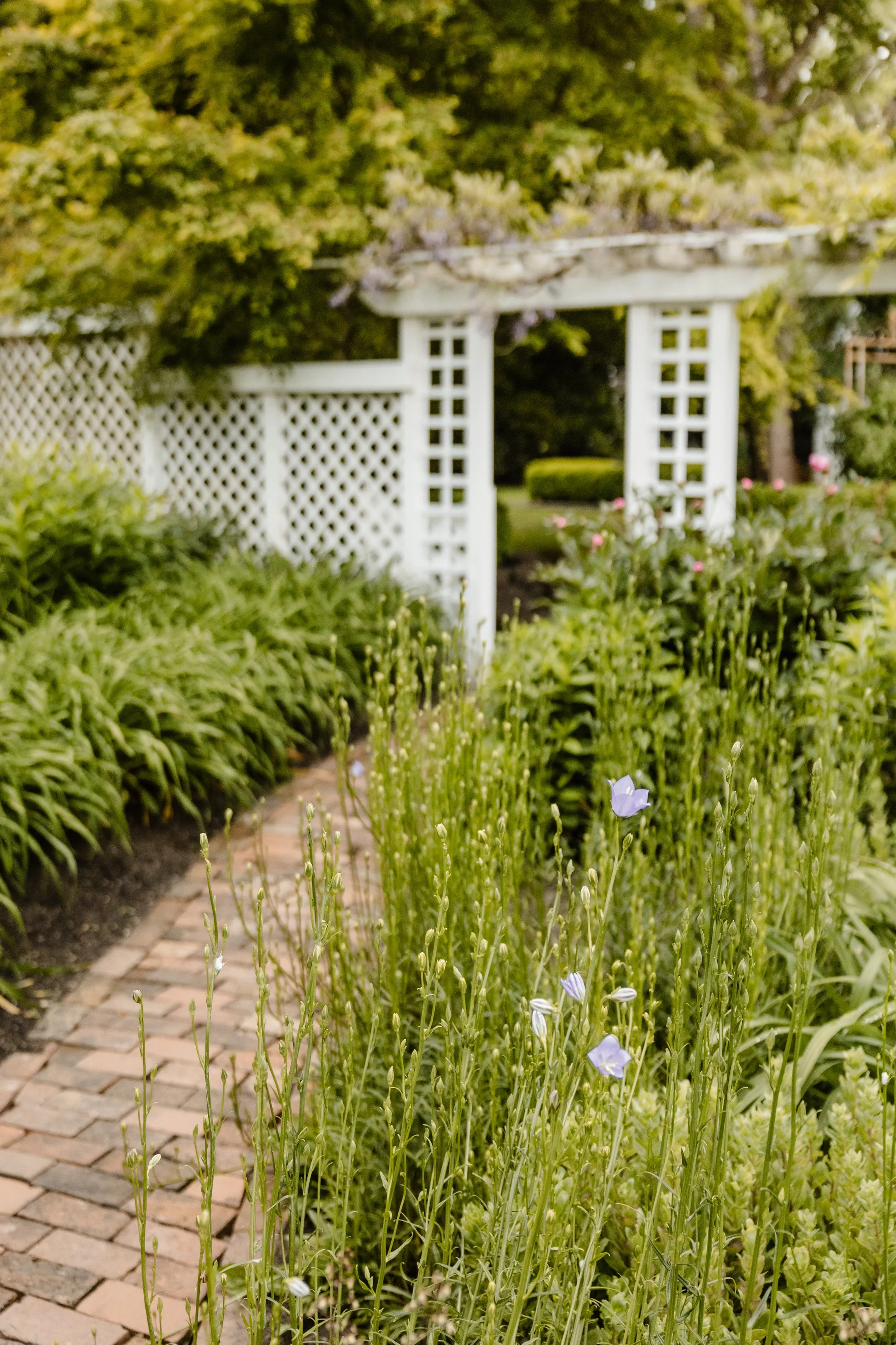 Neah & Shawn Wedding tminspired Photography-840.jpg