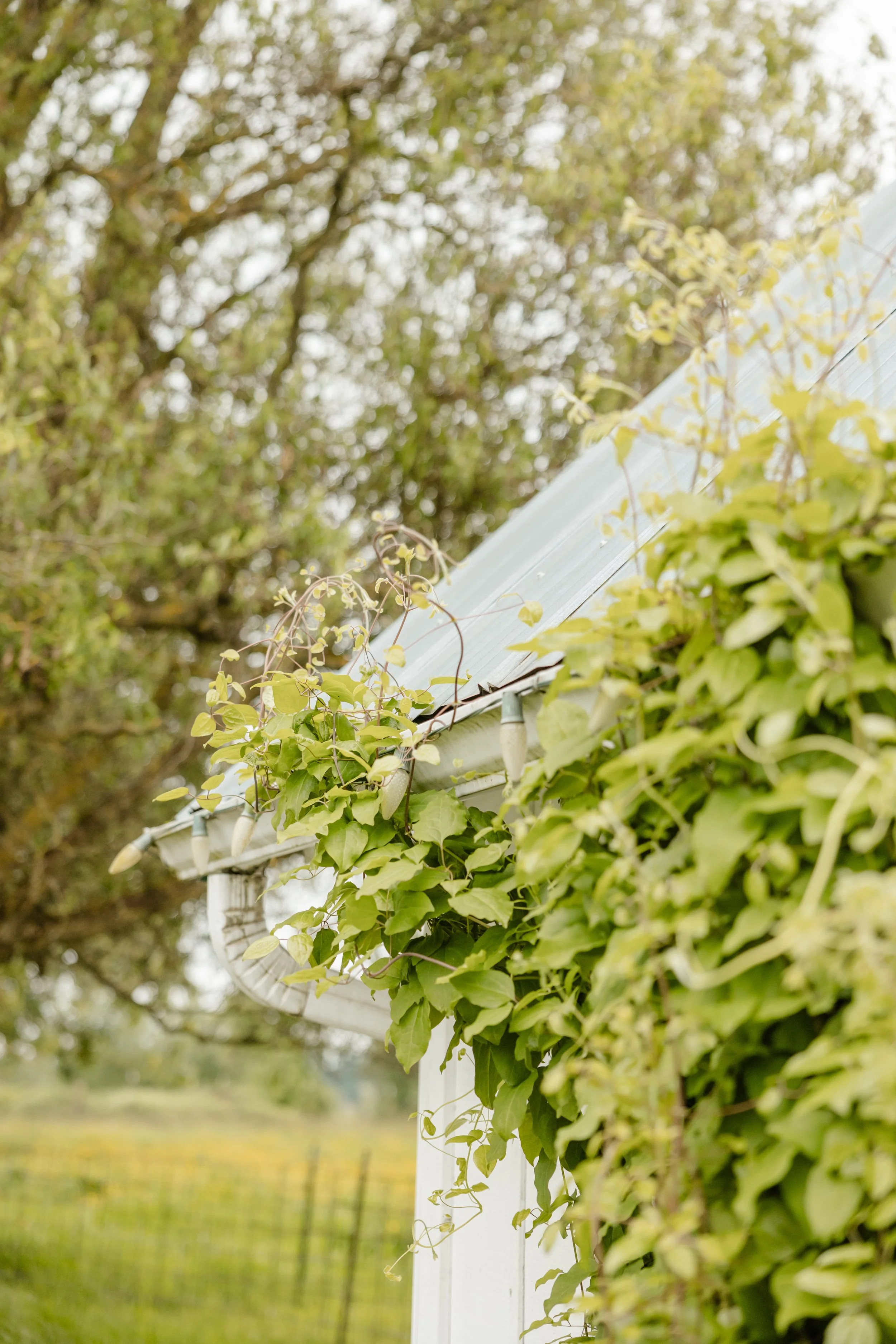 Neah & Shawn Wedding tminspired Photography-57.jpg