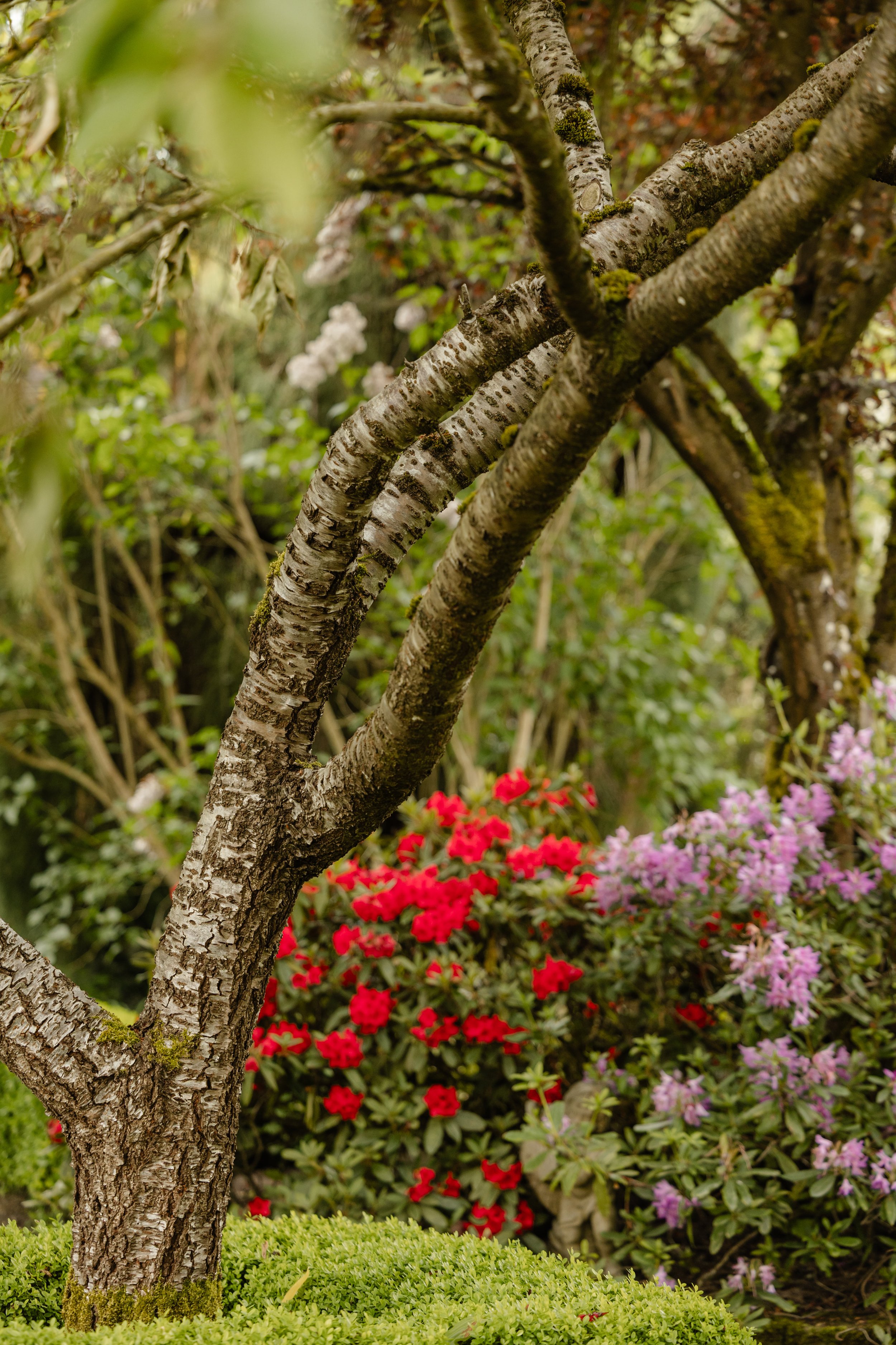 Neah & Shawn Wedding tminspired Photography-63.jpg