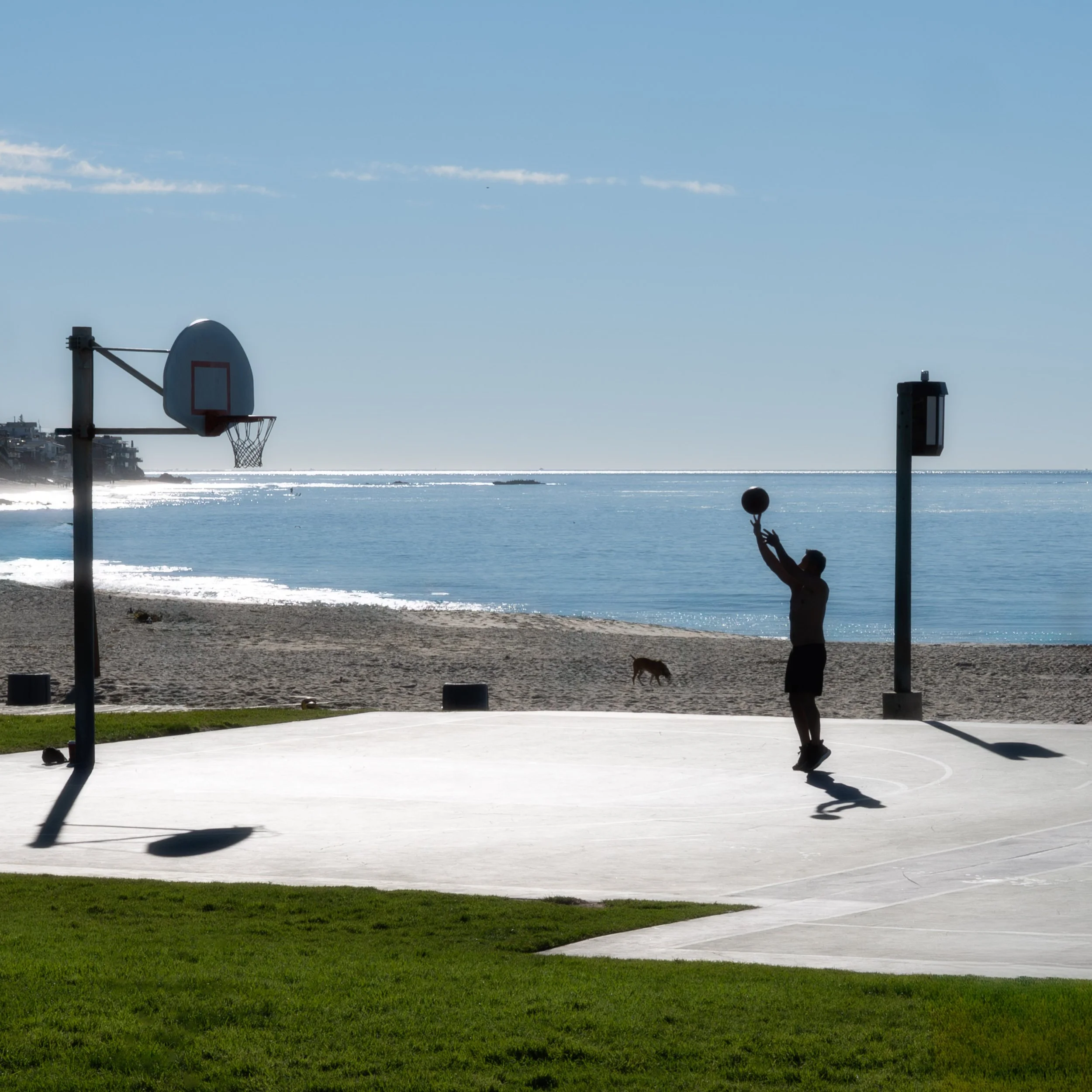 Alone on the Court.jpg