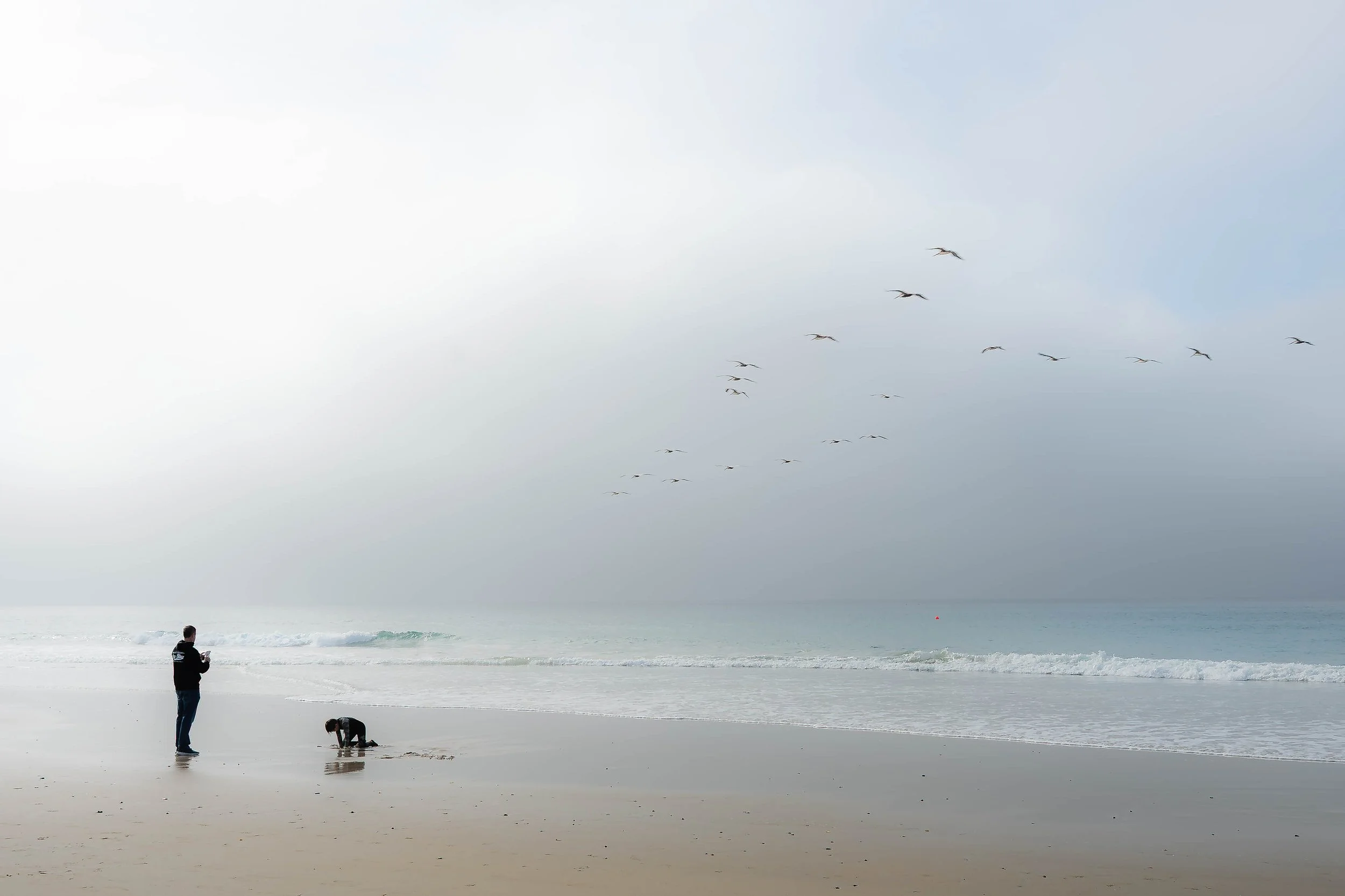 Father Son with gulls.jpg