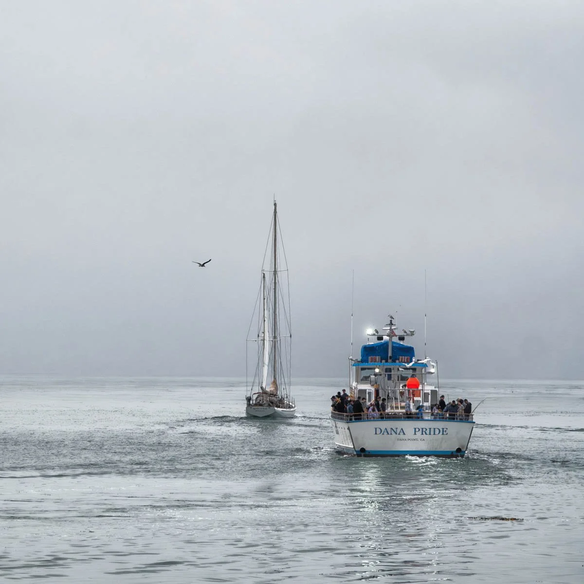 Dana Point Fishing Boat Foggy Morning.jpg