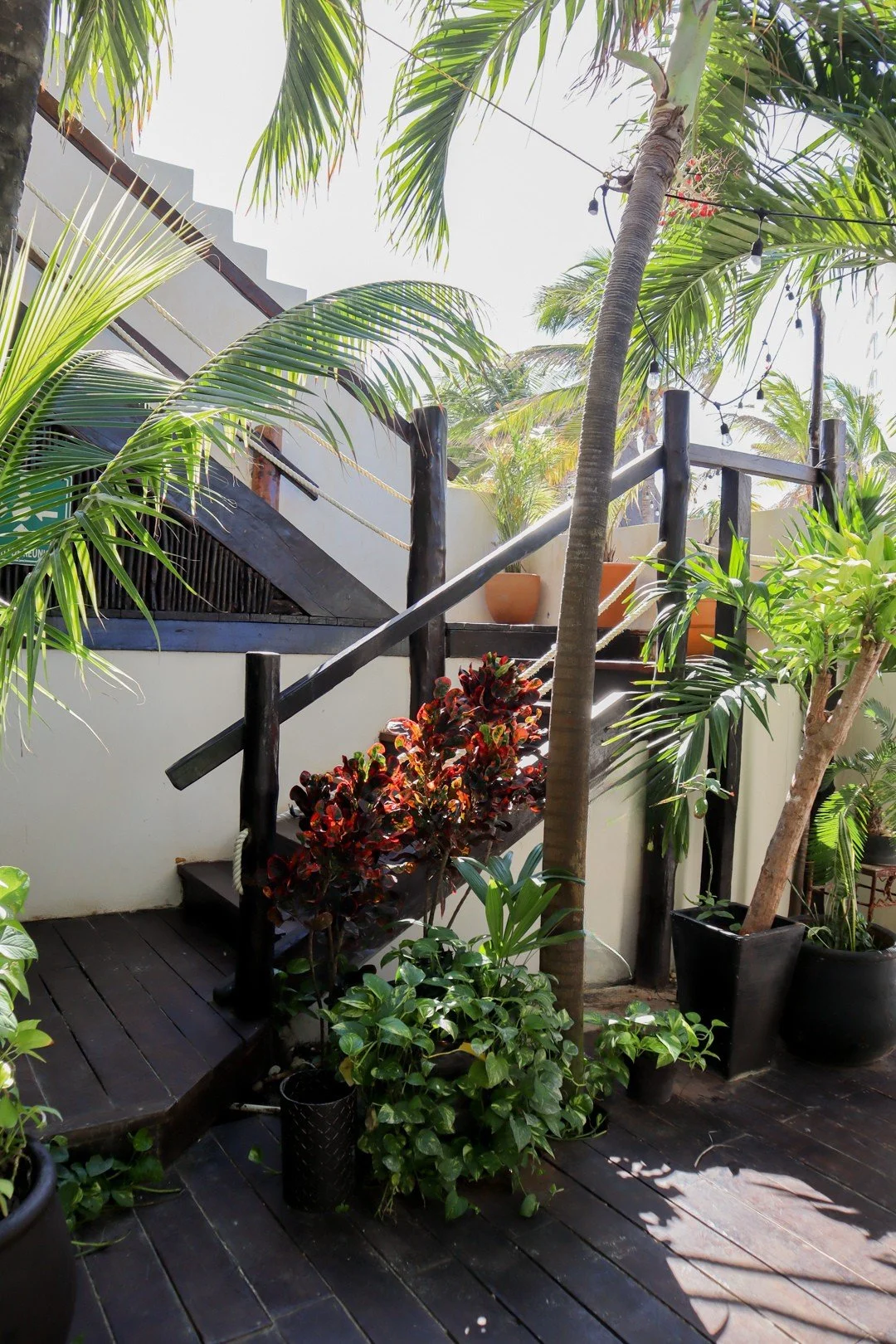 Outdoor balcony with black wooden stairs, surrounded by tropical plants, including palm trees and potted greenery, with sunlight filtering through.