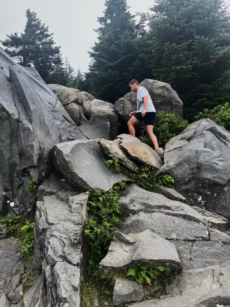 A person in a gray t-shirt and black shorts climbing on large gray rocks surrounded by green plants, with a forest of pine trees in the background.