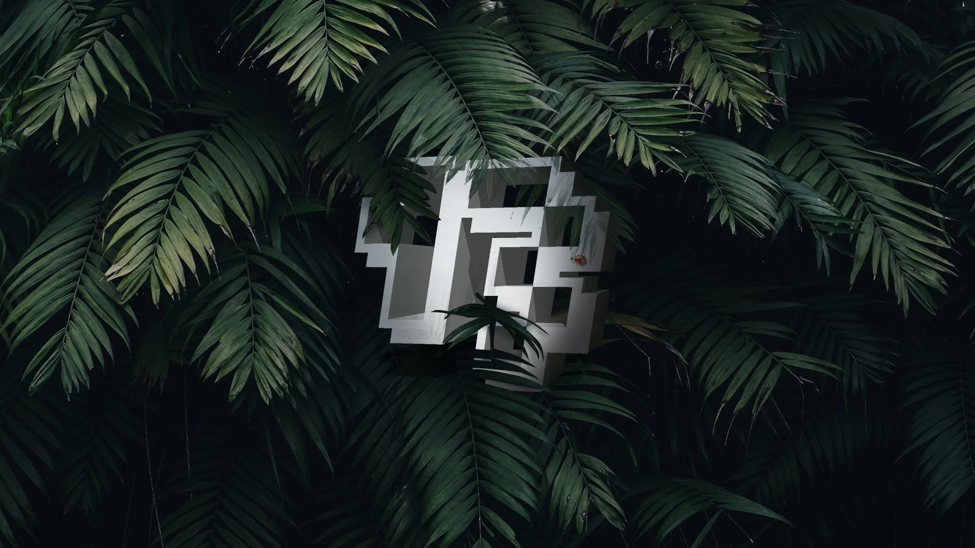 tree 13.jpg