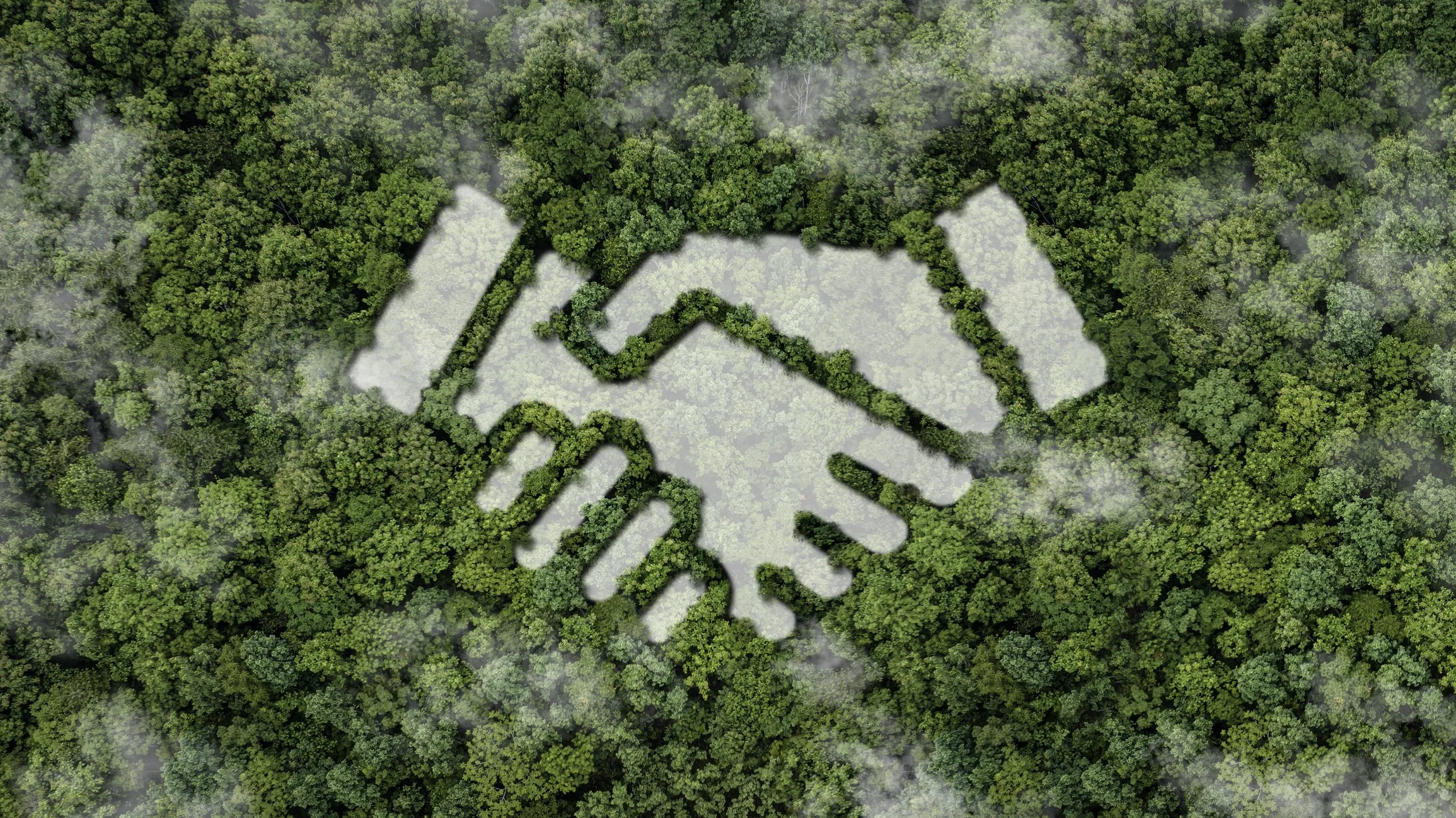 Aerial view of a forest with a large graphic of two shaking hands created by clearing trees and allowing light to pass through, surrounded by dense green trees and some patches of mist.