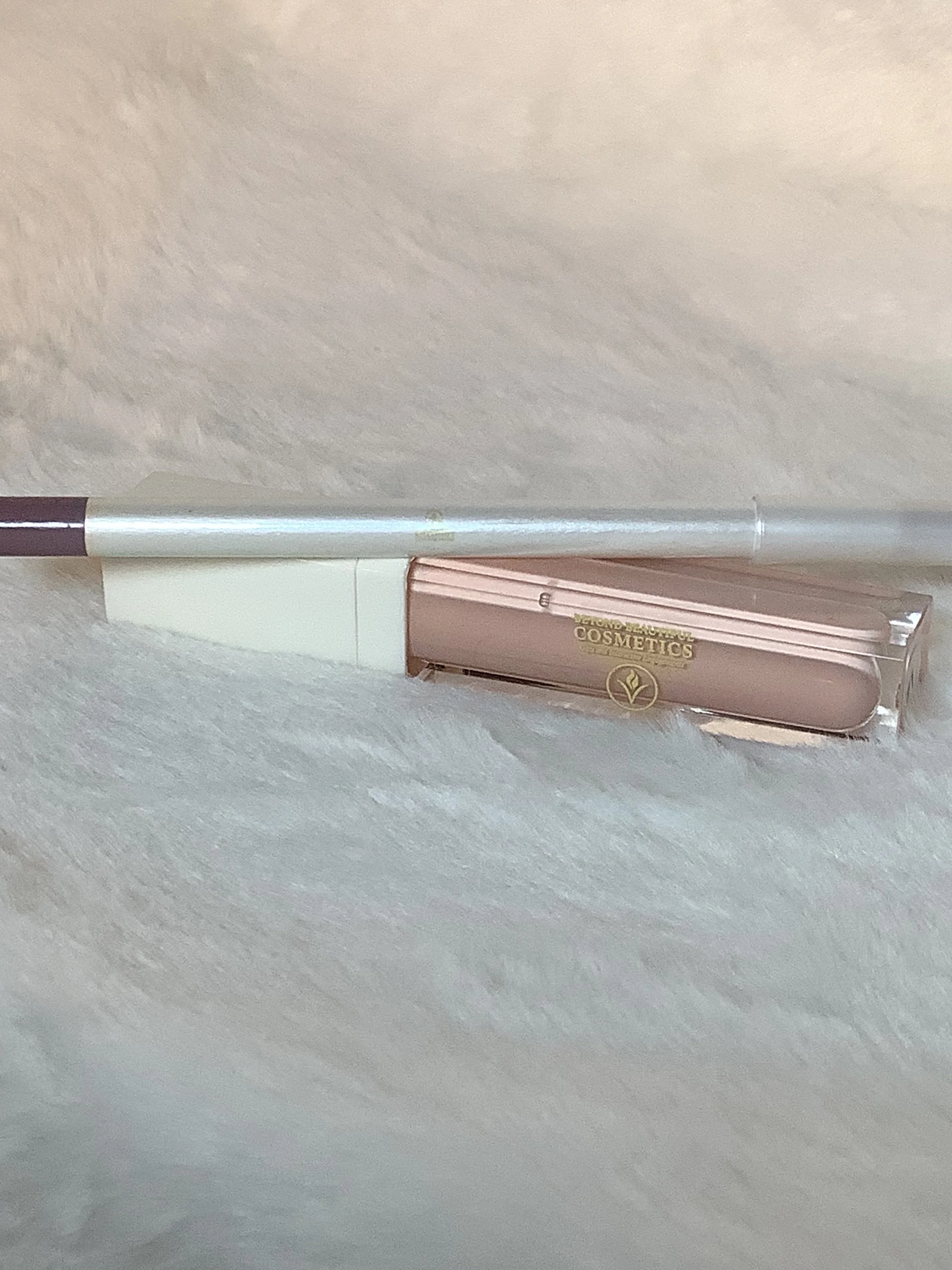 Gentle Recognition - Lip Gloss Kit with Lip Liner