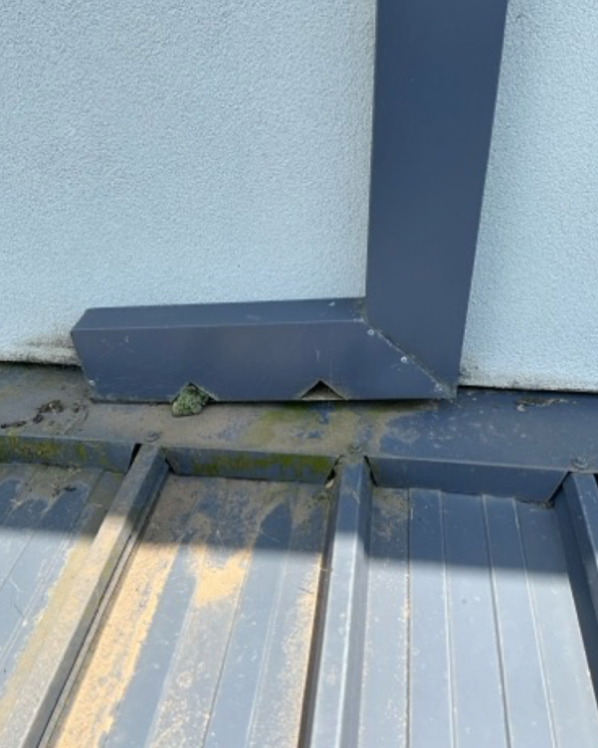 Screenshot 2025-08-30 at 5.49.36 pm.png