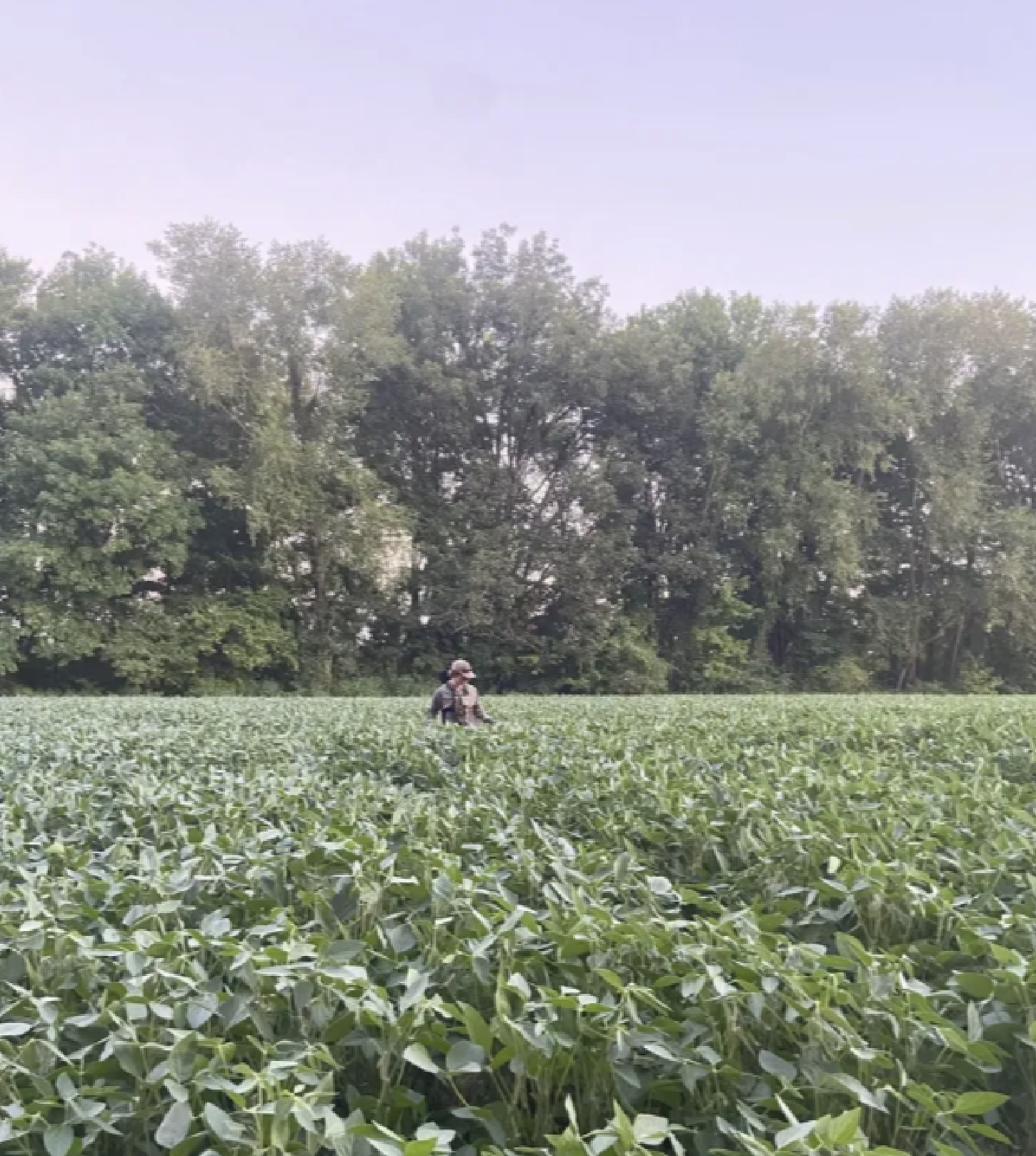 A person standing in a lush green field with trees in the background, wearing a hat.