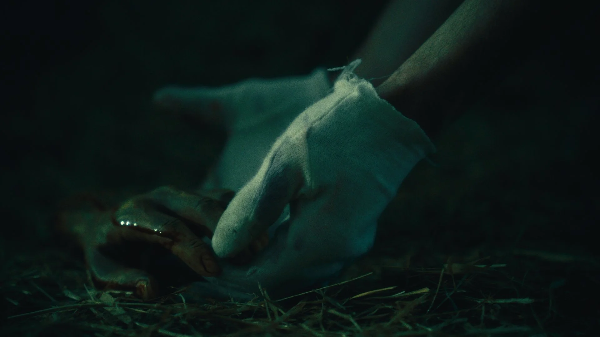 Still 2025-12-02 223825_2.1.1.jpg