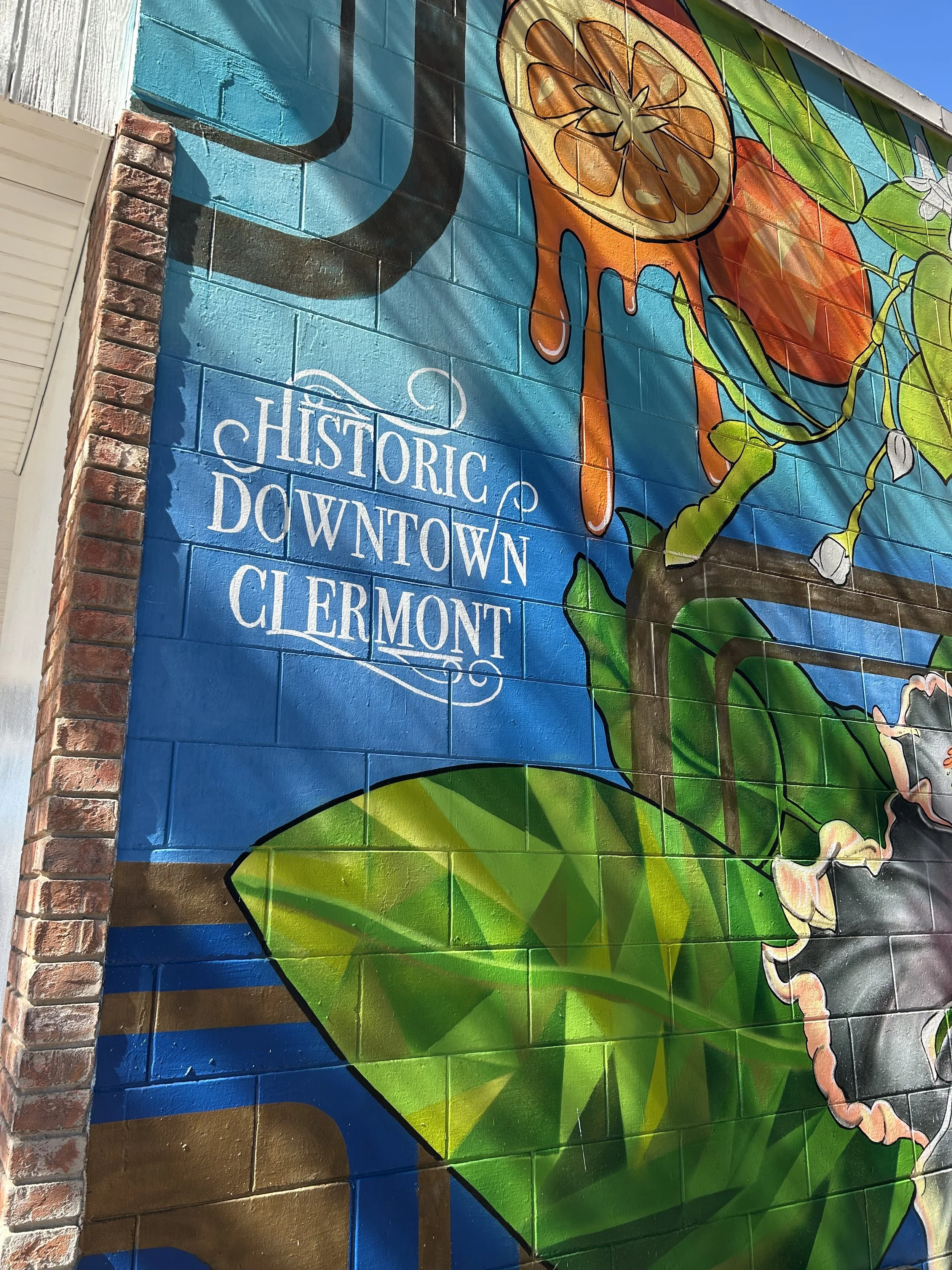 Vendor Fair Diaries: Downtown Clermont Farmers Market