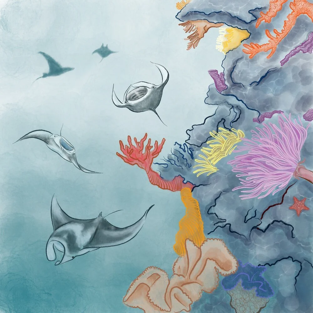 Dallas Zoo Children's Books