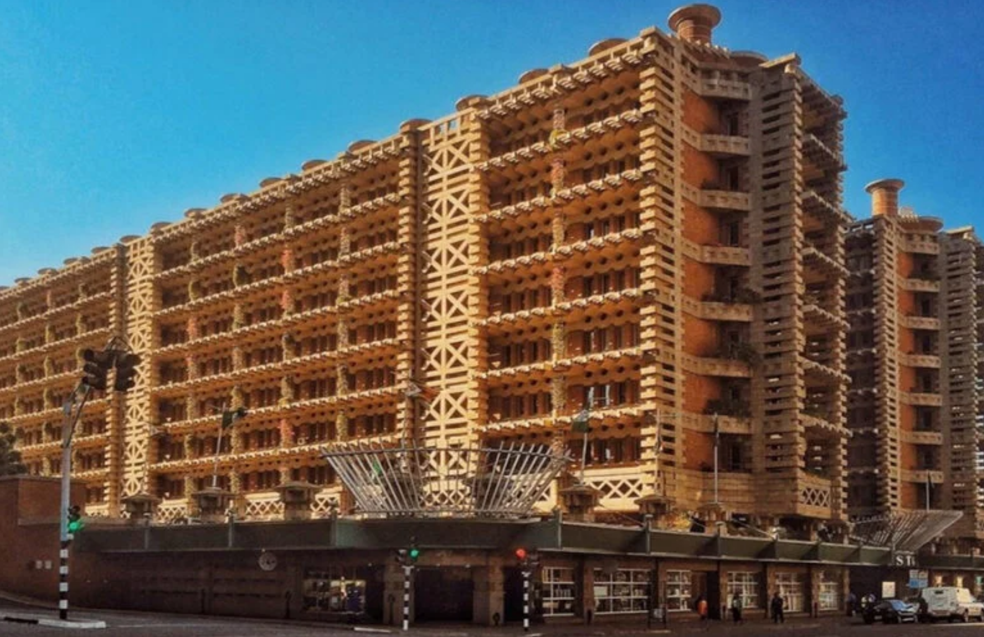 Honors Thesis in Biomimetic Design