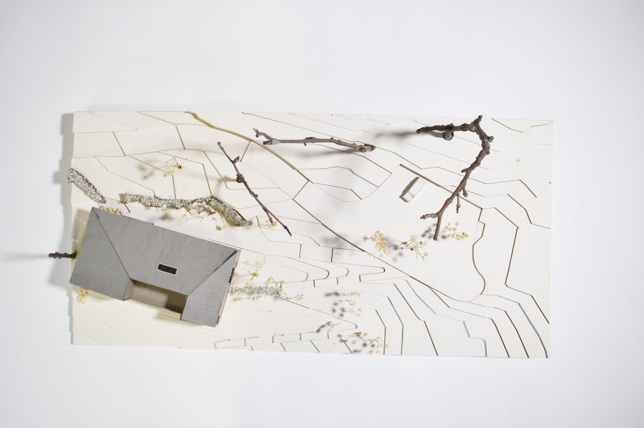 Screenshot 2025-11-24 144112.png