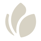 VVW Aesthetics logo icon