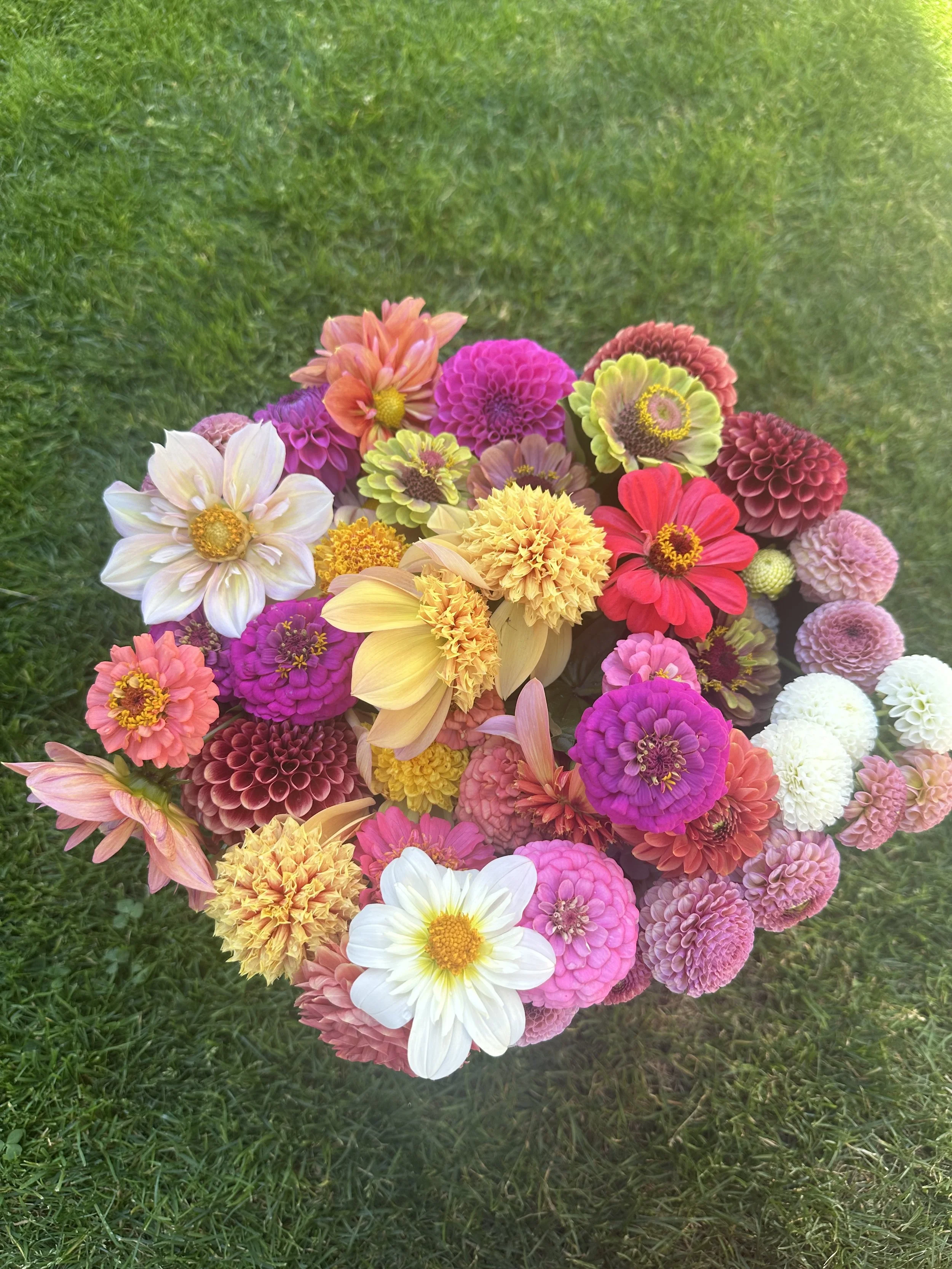 Bouquet of colorful flowers on green grass