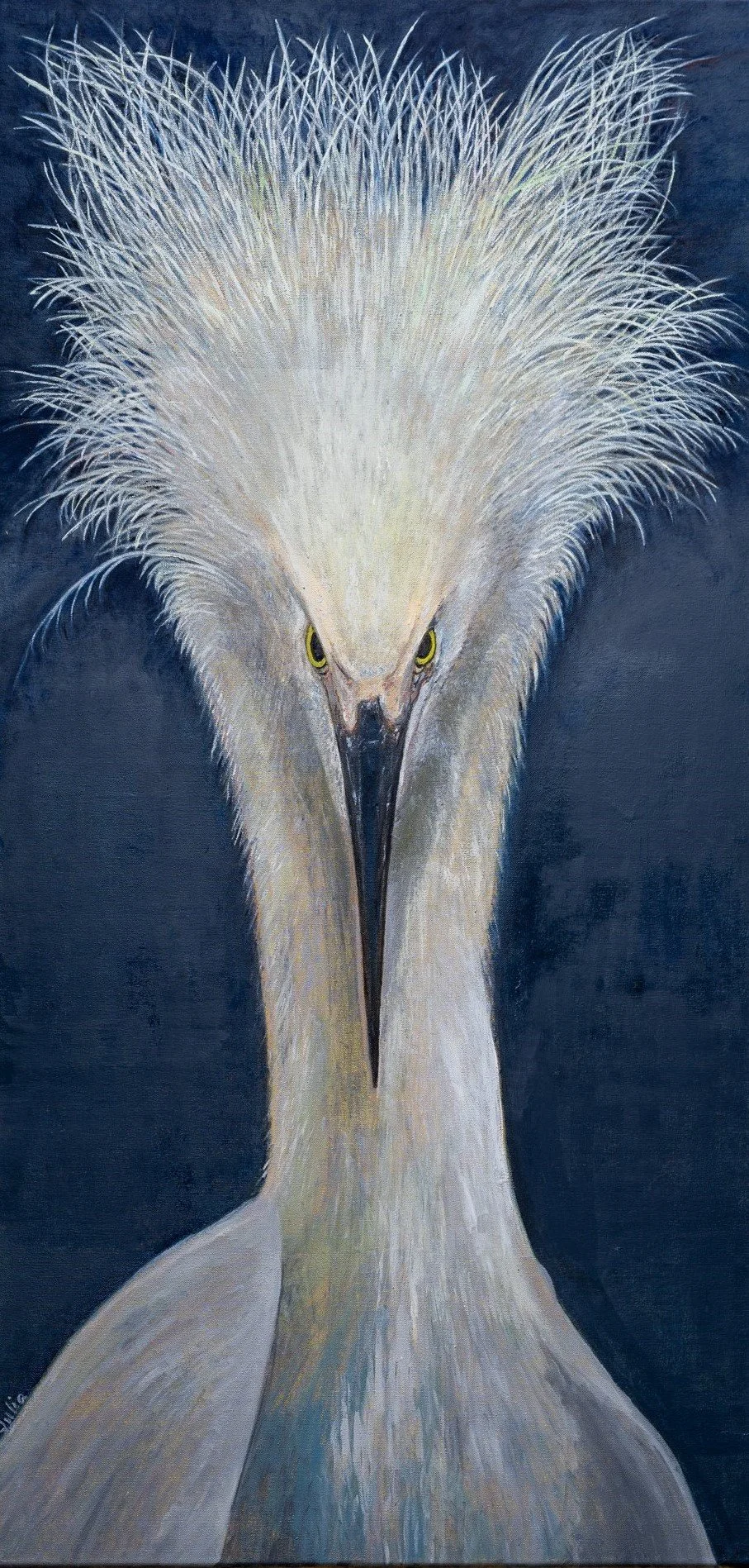 The Floridian Bird_Julia Heyd.jpg