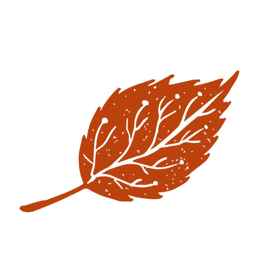 Illustration of a brown autumn leaf with black veins on a black background.